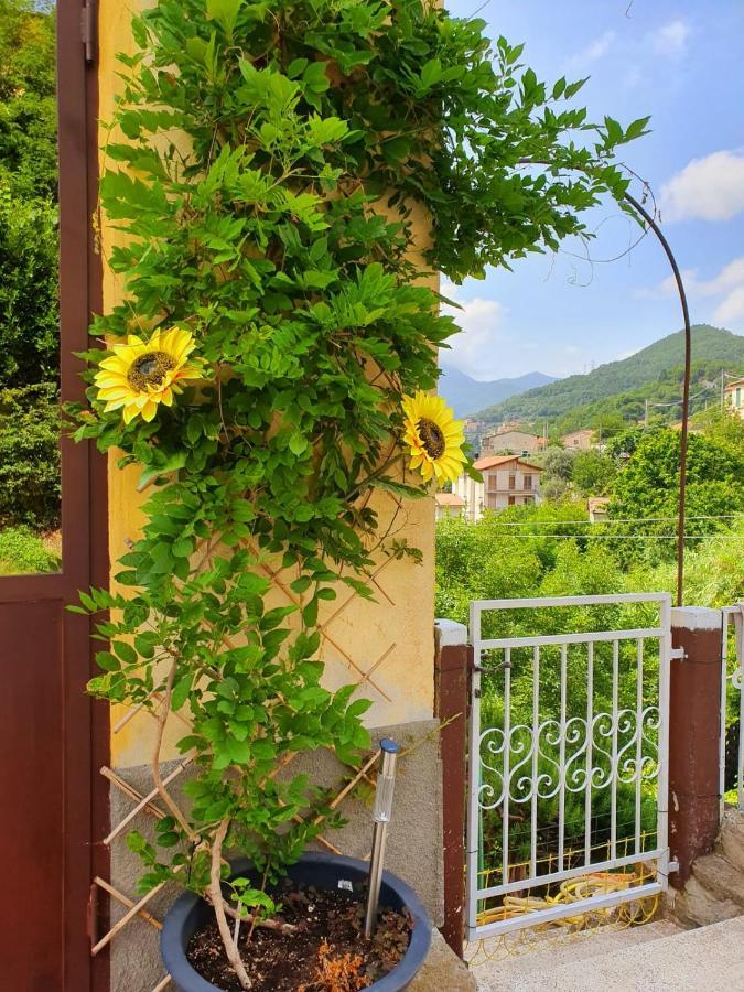 Bed and Breakfast Il Girasole ...At Andorus' House Erli Экстерьер фото